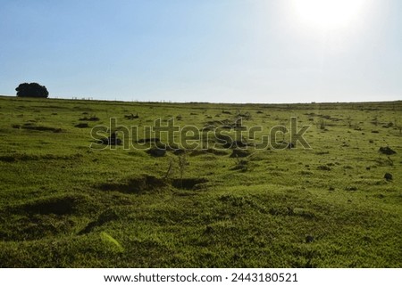 Brazilian landscape, nature in Brazil, with panoramic photography, hilly terrain, lawn, undergrowth, Brazil, South America, sun in the background, sunset
