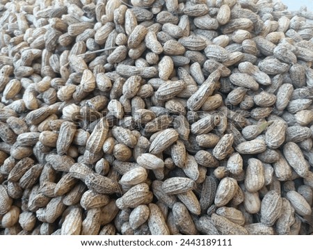 Jambi, March 29 2024. peanuts are tuber food from native agricultural products