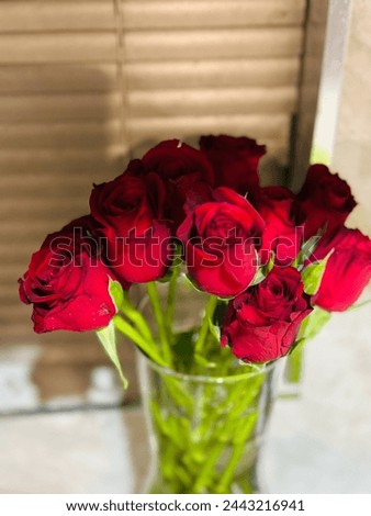 Red rose bouquet love, beautiful red colour favourite beautiful day