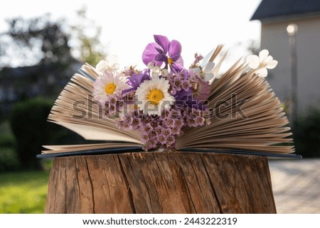 on stump lies open book, between pages of which there is bouquet of various flowers from the garden. concept of reading, aesthetics, wisdom and knowledge. digital detox. book day. greeting card