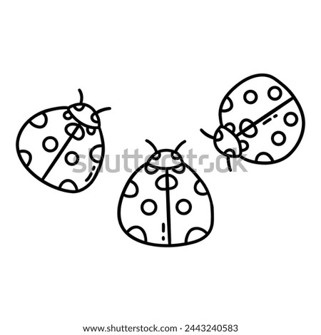 Three ladybugs. Cute insects with polka dots. Spring and summer season. Black and white vector isolated illustration hand drawn doodle. Coloring clip art