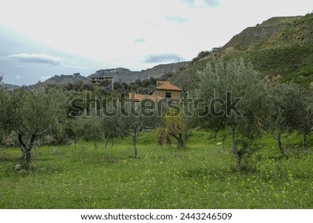 Rural landscape at autumn in Calabria, Italy,