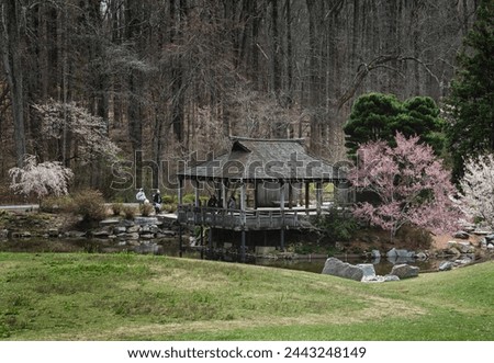 Flowering trees in front of a lakeside house                               