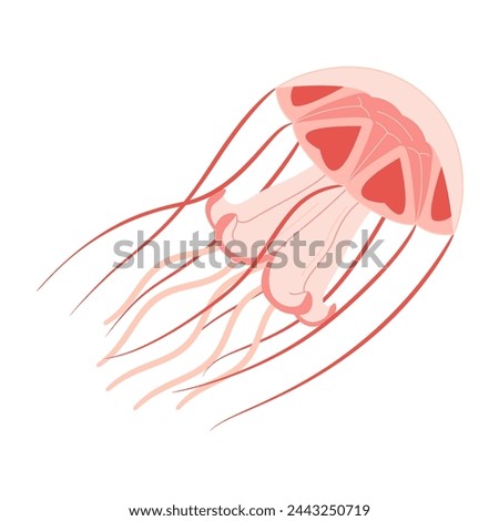 Cartoon Pink jellyfish flat style. Medusa vector illustration. Modern flat illustration Jellyfish isolated on white background. Vector illustration