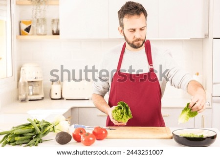 A man in a red apron is cutting up a head of lettuce on a cutting board. The kitchen is well-stocked with various vegetables, including tomatoes, onions, and celery. Concept of healthy eating