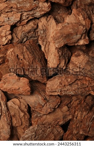 Bark of pine tree. Vertical photo. Space for text. top view