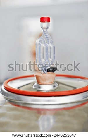 Equipment, container and beer at brewery in factory with fermentation with bung in closeup with production. Manufacturing, airlock or cask with system for alcohol, process and industrIal warehouse Royalty-Free Stock Photo #2443261849