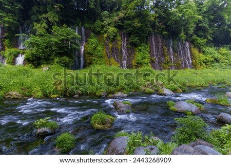 Shiraito Falls, Fujinomiya City, Shizuoka Prefecture Royalty-Free Stock Photo #2443268909