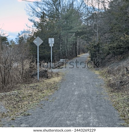 gravel bike path (cycling on unpaved dirt trail) distance, far away, from behind (woods, forest, trees)