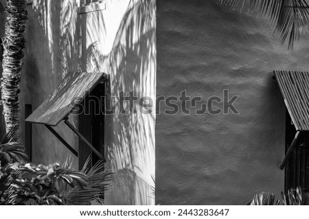 Palm Shadows on the Corner of an Adobe House with Bamboo Awnings.