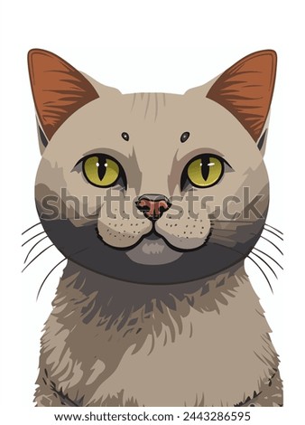 Illustrated portrait of the grey cat