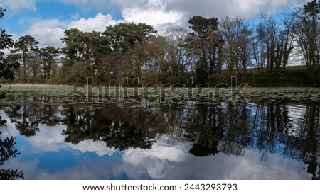Trees and sky reflected on a lake full of lily pads - Talbot Lake, Blackwater, Co. Wexford Royalty-Free Stock Photo #2443293793