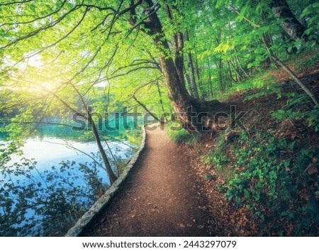 Path in beautiful forest near the lake at sunset in spring. Plitvice Lakes, Croatia. Colorful landscape with trail, trees with green leaves, blue water in blooming park in summer. Walkway in woods  Royalty-Free Stock Photo #2443297079