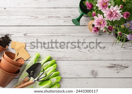 Spring into action with garden tasks. Top-down view of budding flowers, watering can, and tools resting on white wood. A picturesque setup for green thumbs Royalty-Free Stock Photo #2443300117
