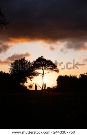 Silhouetted figures stand by a tree against a dusky sky aglow with the fading sun. Royalty-Free Stock Photo #2443307759