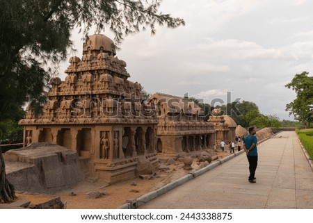 Picture of five rathas and a tourist roaming around on an evening at UNESCO world heritage site of Mahabalipuram. Ajanta, Ellora, Hampi ancient stone sculpture carvings sacred pilgrimage archeology Royalty-Free Stock Photo #2443338875
