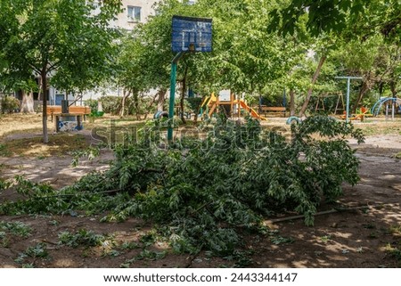 A park with a basketball court and a bench. The park is littered with branches and leaves