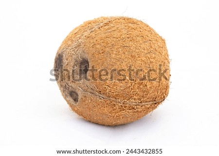 Coconuts tropical fruit on isolated white background