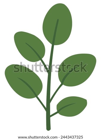 plant vector on white background