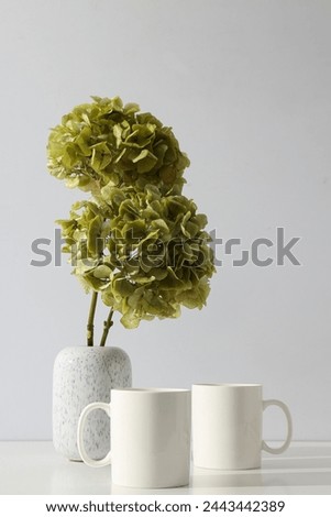 White cups with green hydrangeas in a vase