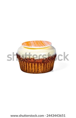 cupcake  in high resoltuion image and isolated with blurry ends