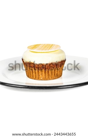 cupcake  in high resoltuion image and isolated with blurry ends