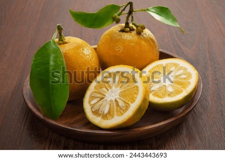 Japanese citrus oranges on the table Royalty-Free Stock Photo #2443443693