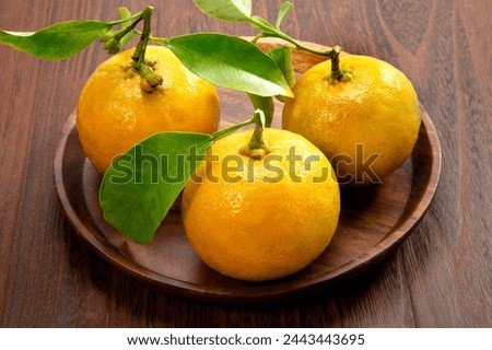 Japanese citrus oranges on the table Royalty-Free Stock Photo #2443443695
