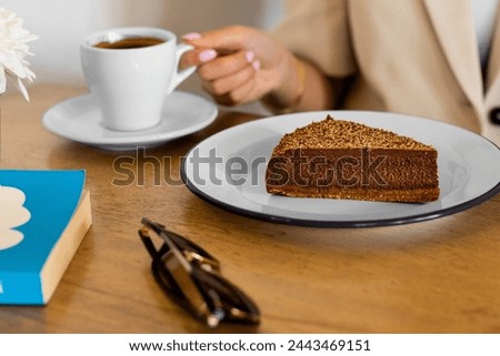 chocolated cheese cake in high resolution image and isolated with blurry ends