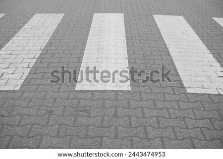 crosswalk on empty grey road