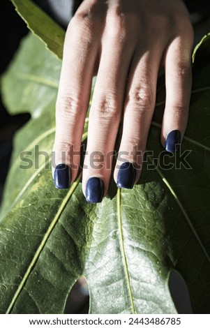 Professional manicure. Black gel polish on a woman's hand against a background of a green petal. 