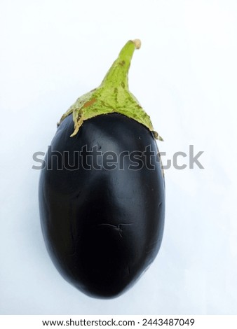 Fresh Shiny isolated Brinjal Picture, Best for Vegitable banners