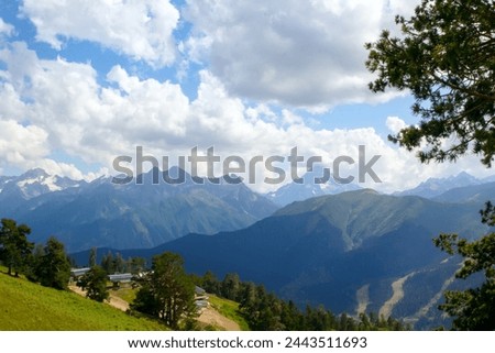 Trees in the mountains in sunny, bright weather in summer. Landscape in the mountains with the presence of powerful rocks in sunny, bright, colorful weather in the Caucasus. Arkhyz.