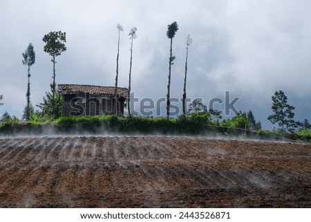 Agricultural fields emit smoke. The mountainous land of Dieng. Every morning emits smoke and dew. Unique events Royalty-Free Stock Photo #2443526871