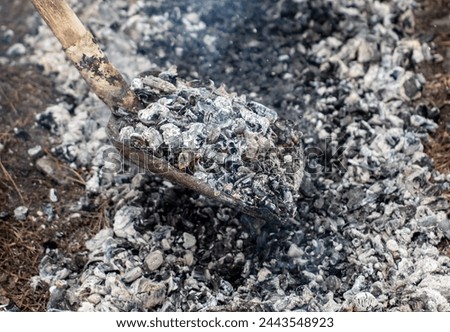 Burning coals in a fire as a background.