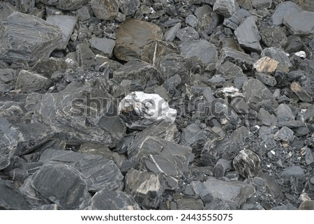 Geology is a branch of natural science concerned with the Earth and other astronomical objects, the rocks of which they are composed, and the processes by which they change over time.  Royalty-Free Stock Photo #2443555075