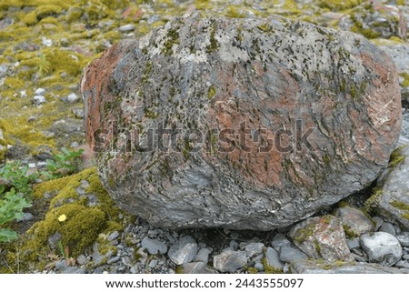 Geology is a branch of natural science concerned with the Earth and other astronomical objects, the rocks of which they are composed, and the processes by which they change over time.  Royalty-Free Stock Photo #2443555097