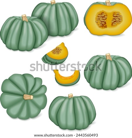 Clip art. Blue pumpkin. Winter squash. Cucurbita maxima. Fruits and vegetables. Isolated vector illustration.