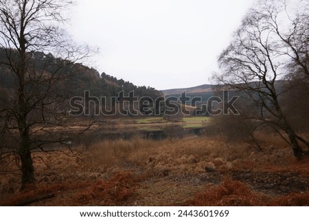 Different views of the kilkenny forest and fields, Dublin, Ireland