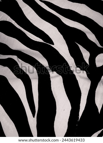photo of zebra skin motif #2