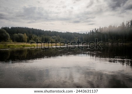 A wide river gently flows through a lush forest under a sky dotted with billowy clouds Royalty-Free Stock Photo #2443631137