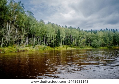 A wide river gently flows through a lush forest under a sky dotted with billowy clouds Royalty-Free Stock Photo #2443631143