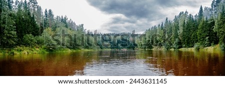 A wide river gently flows through a lush forest under a sky dotted with billowy clouds Royalty-Free Stock Photo #2443631145