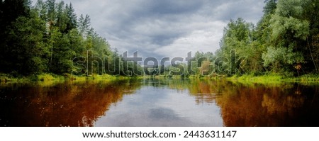 A wide river gently flows through a lush forest under a sky dotted with billowy clouds Royalty-Free Stock Photo #2443631147
