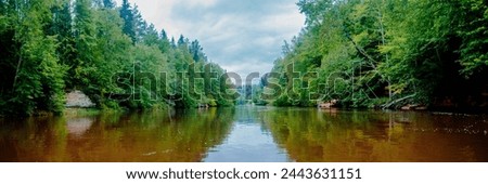 A wide river gently flows through a lush forest under a sky dotted with billowy clouds Royalty-Free Stock Photo #2443631151