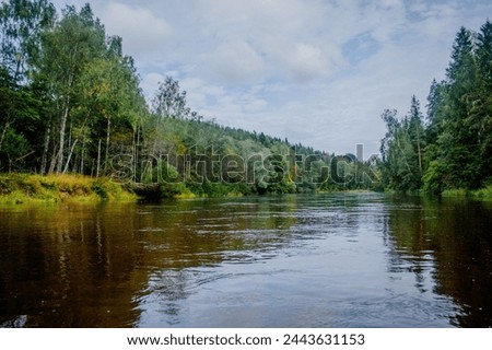 A wide river gently flows through a lush forest under a sky dotted with billowy clouds Royalty-Free Stock Photo #2443631153