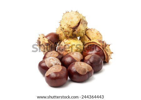 Autumn horse chestnuts isolated on white background