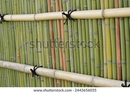 Fresh green bamboo fence in Japan held together with black rope tied in a ribbon