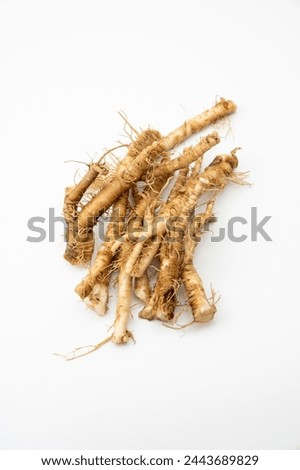 Fresh Taraxacum officinale, the dandelion or common dandelion roots isolated on white background. Royalty-Free Stock Photo #2443689829