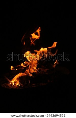 pictures of flames from a wood fire